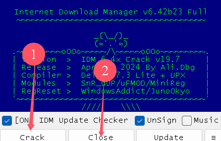 Internet Download Manager 6.42.42 破解版插图 Internet Download Manager 6.42.42 破解版插图
